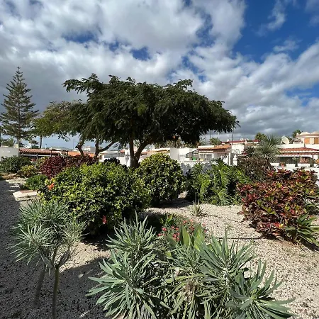 Apartamento Con Piscina, Wifi Gratis, A 750 M De La Playa En Tenerife Sur アパート コスタ・デル・シレンチオ
